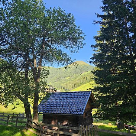Kinder- Und Familienhotel Nockalm 茵聂科里姆斯 外观 照片